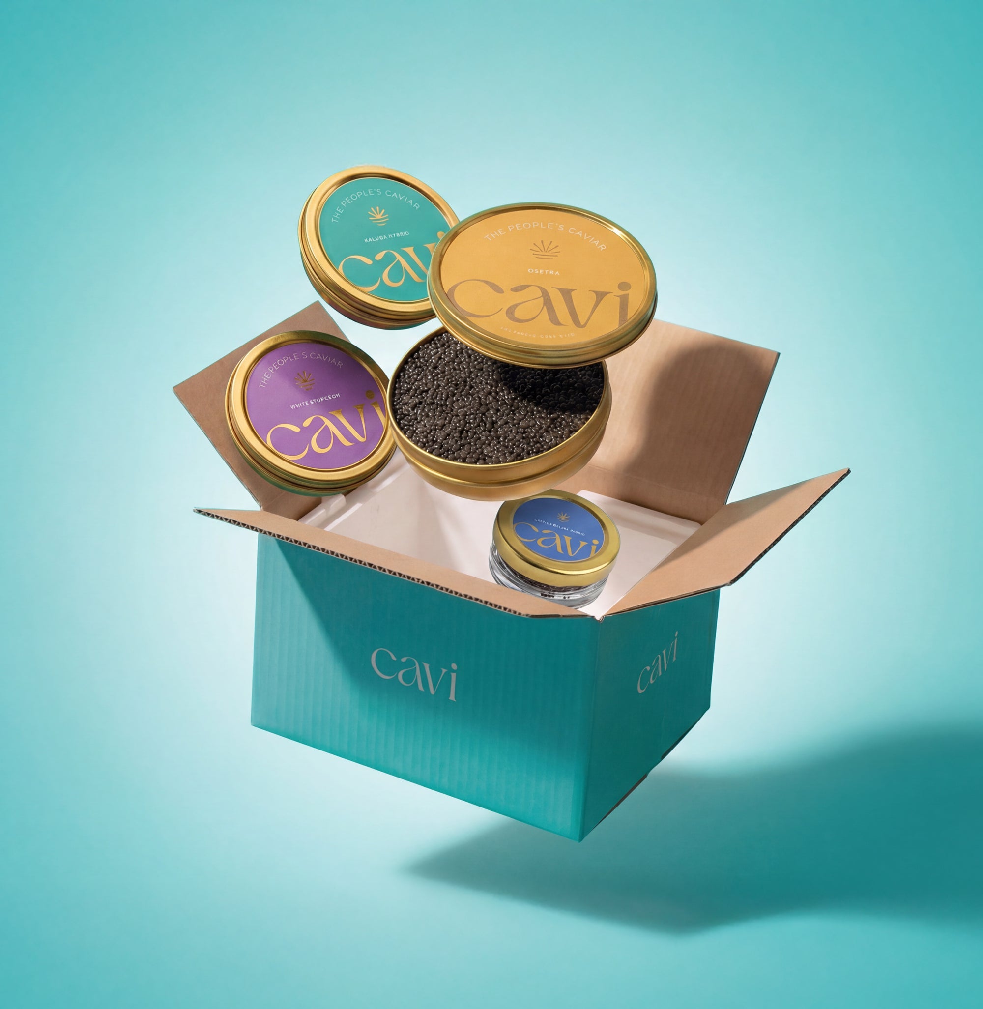 Build Your CAVI Bundle