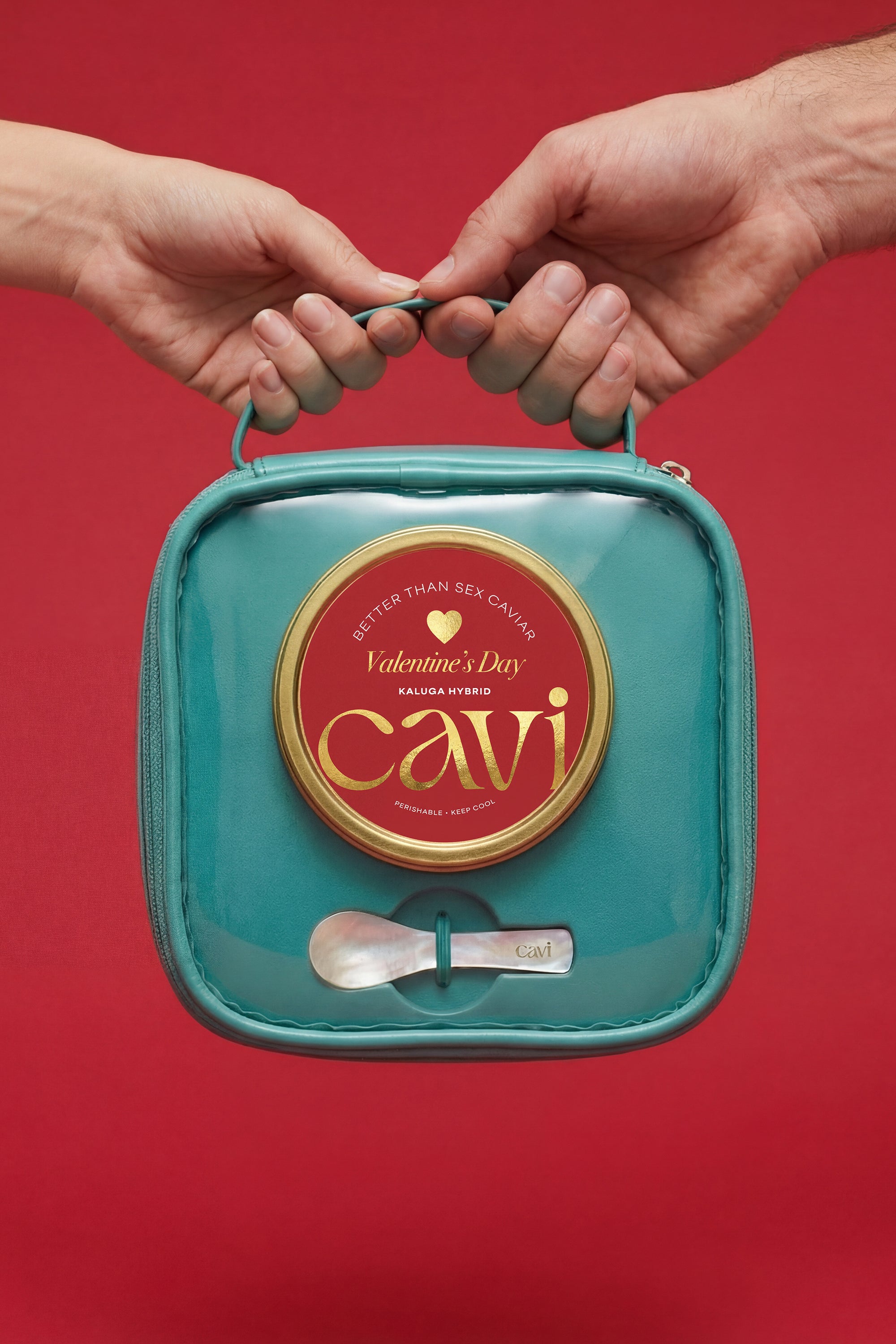 The CAVI Valentine's Day Kit (PRE-ORDER)