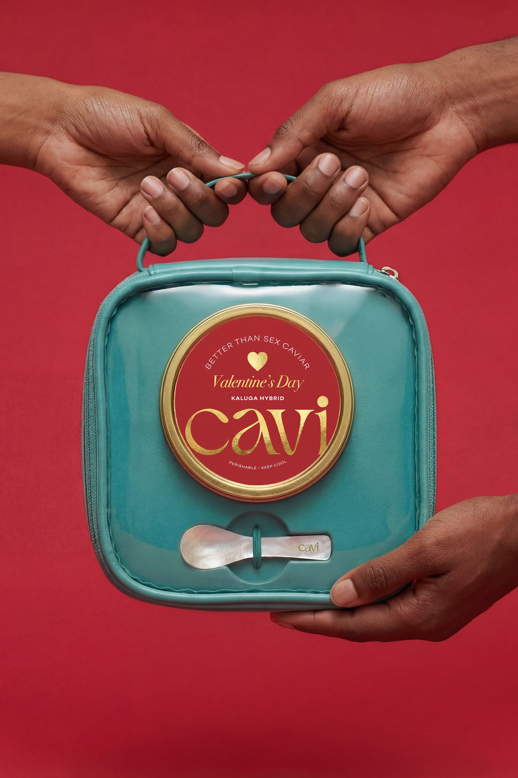 The CAVI Valentine's Day Kit (PRE-ORDER)